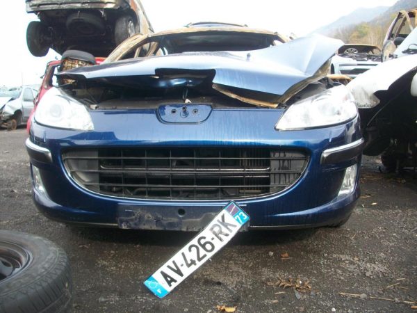 Porte arriere gauche PEUGEOT 407 PHASE 1 Diesel image 2