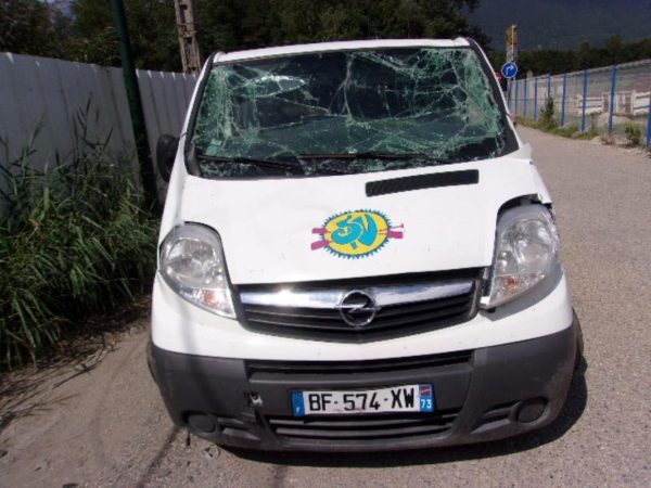 Porte arriere gauche OPEL VIVARO 1 PHASE 2 Diesel image 5