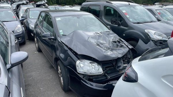 Porte arriere gauche VOLKSWAGEN GOLF 5 Diesel image 2