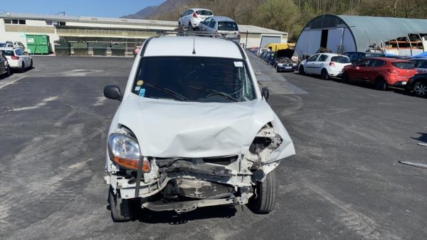 Porte avant droit RENAULT KANGOO 1 PHASE 2 Diesel image 3