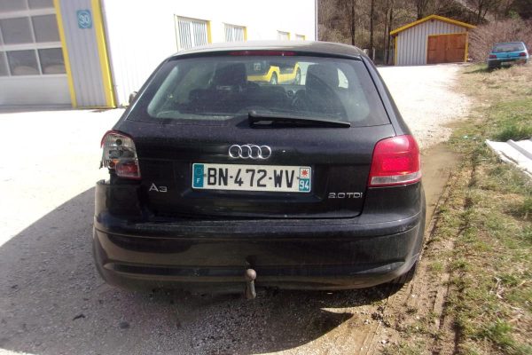 Divers AUDI A3 2 PHASE 1 Diesel image 6