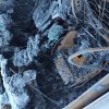 Etrier arriere gauche (freinage) AUDI A3 3 PHASE 1 Diesel image 3