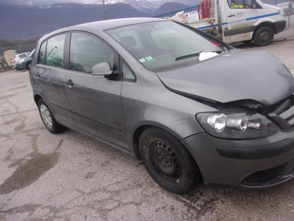 Porte arriere gauche VOLKSWAGEN GOLF PLUS PHASE 1 Diesel image 1