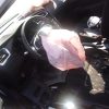 Alternateur CITROEN C4 2 PHASE 1 Diesel image 4