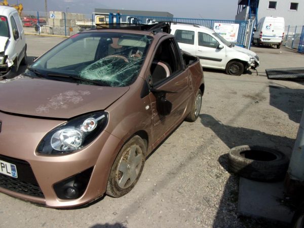 Pedalier d'accelerateur RENAULT TWINGO 2 PHASE 1 GAZOLE image 5