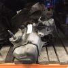 Boite de vitesses PEUGEOT 307 PHASE 1 ESS image 1