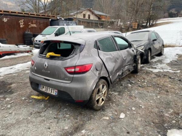 Porte arriere gauche RENAULT CLIO 4 PHASE 1 image 3