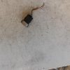 Bouton de warning FORD FOCUS 2 PHASE 2 Diesel image 1