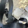 Ceinture arriere droit TOYOTA YARIS 2 PHASE 1 image 2