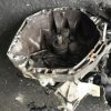 Boite de vitesses RENAULT TWINGO 2 PHASE 1 Essence image 9