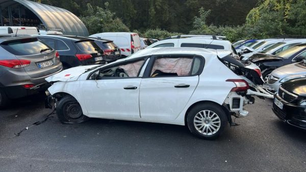 Vase de lave glace PEUGEOT 308 2 PHASE 1 Diesel image 4