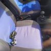 Neiman RENAULT R19 PHASE 1 Diesel image 6