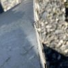 Pare choc arriere PEUGEOT 208 1 PHASE 2 Essence image 3