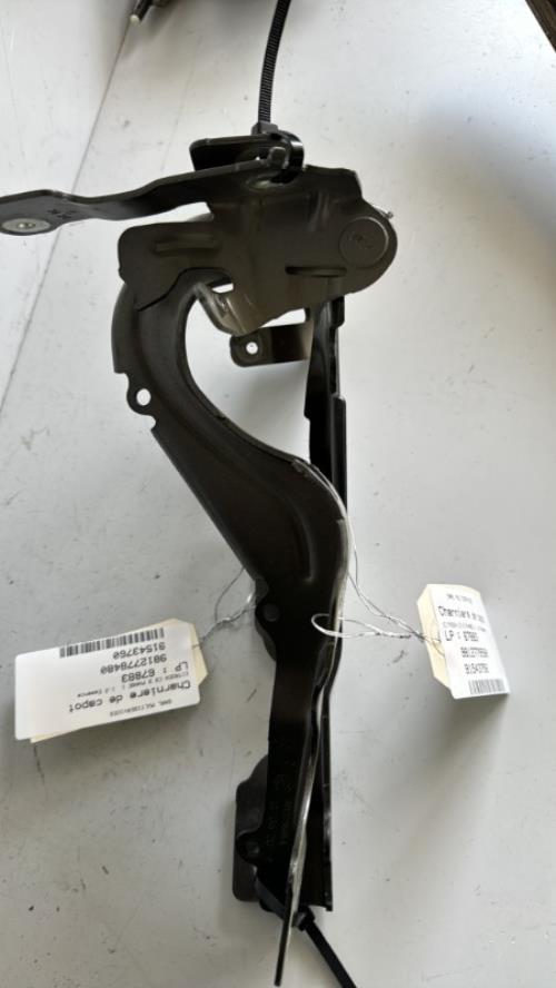 Charniere de capot CITROEN C3 3 PHASE 1 Essence image 4