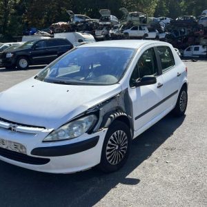 Glace retroviseur droit PEUGEOT 307 PHASE 1 Diesel image 5