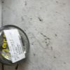 Anti brouillard gauche (feux) CITROEN C3 1 PHASE 2 Diesel image 3