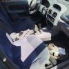Retroviseur droit RENAULT CLIO 2 PHASE 1 Essence image 6