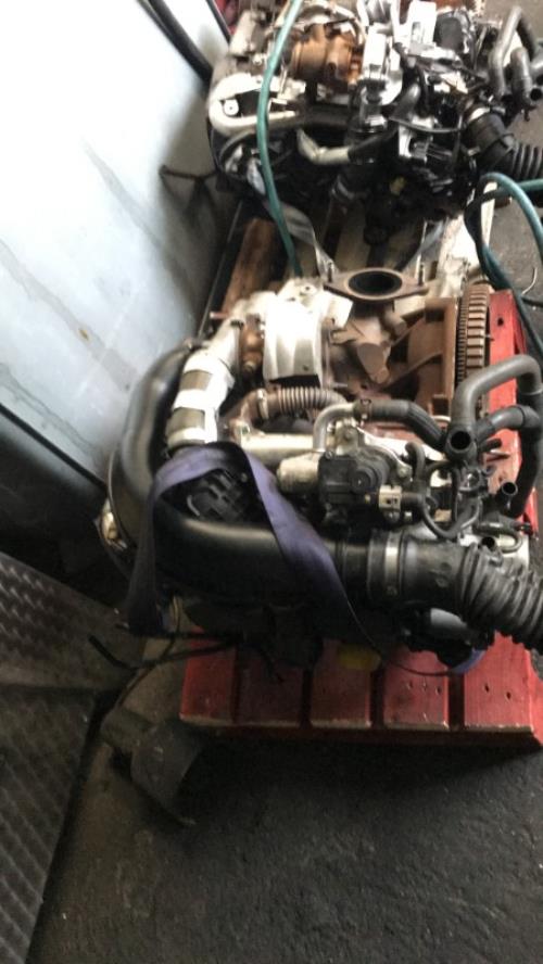 Moteur DACIA LODGY PHASE 1 image 4