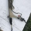 Cremaillere assistee FIAT DUCATO 3 PHASE 1 Diesel image 4