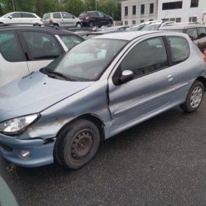 Capot PEUGEOT 206 PHASE 2 Diesel image 1