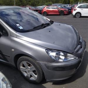 Pare boue avant droit PEUGEOT 307 PHASE 1 Essence image 9