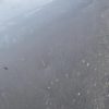 Capot OPEL MERIVA A PHASE 1 Essence image 3