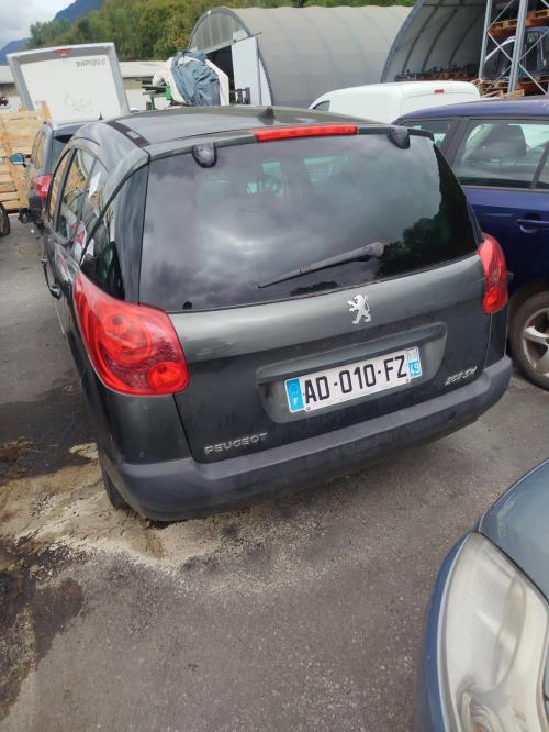 Bouton de warning PEUGEOT 207 PHASE 1 BREAK Diesel image 6