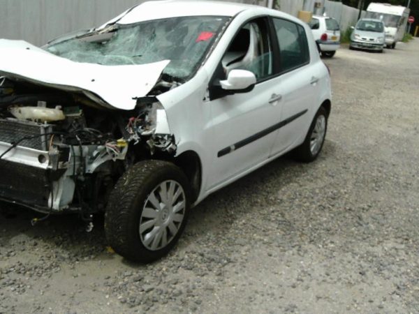 Ceinture arriere centrale RENAULT CLIO 3 PHASE 2 image 5