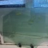 Vitre arriere droit PEUGEOT 208 1 PHASE 2 Diesel image 3