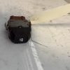 Interrupteur de leve vitre avant droit RENAULT CLIO 3 PHASE 1 Diesel image 2