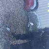 Capot PEUGEOT 206+ Diesel image 2