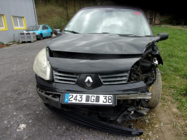 Ceinture arriere centrale RENAULT SCENIC 2 PHASE 1 Diesel image 3
