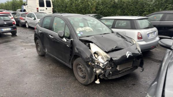 Porte avant gauche CITROEN C3 2 PHASE 1 Essence image 2