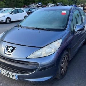 Porte avant gauche PEUGEOT 207 PHASE 1 Diesel image 1