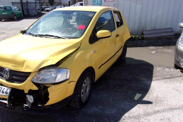 Porte avant droit VOLKSWAGEN FOX image 2