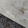 Porte avant gauche OPEL MERIVA A PHASE 2 Diesel image 4