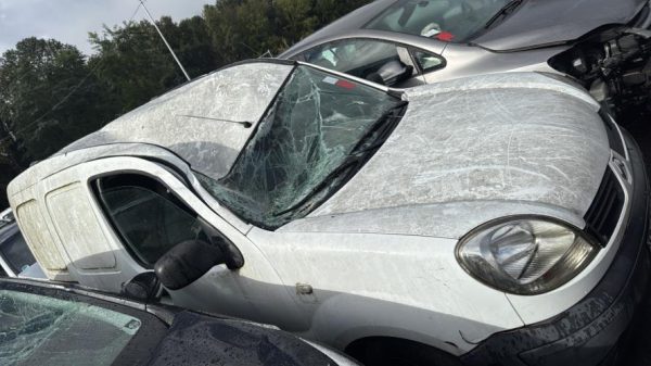 Pedalier d'accelerateur RENAULT KANGOO 1 PHASE 2 Diesel image 5