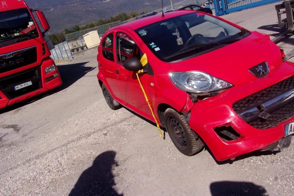 Cremaillere assistee PEUGEOT 107 PHASE 2 image 1