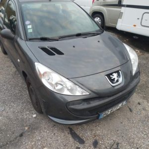 Boitier servitude moteur (BSM) PEUGEOT 206+ Essence image 1