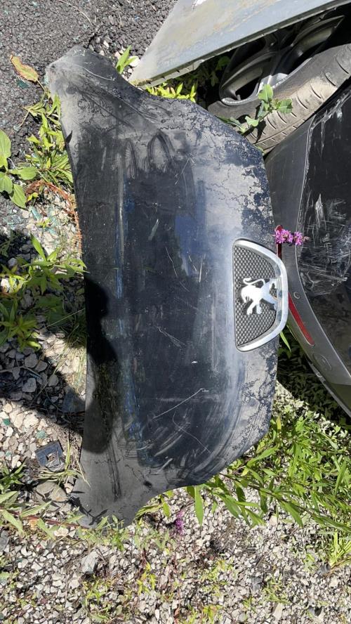 Capot PEUGEOT 107 PHASE 2 image 1