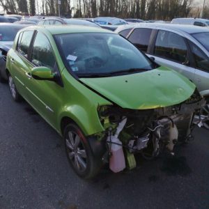 Porte avant gauche RENAULT CLIO 3 PHASE 2 Essence image 1