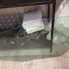 Vitre avant gauche FIAT PANDA 2 PHASE 1 Essence image 4