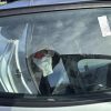 Vitre arriere droit RENAULT CLIO 5 Essence image 2