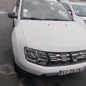 Porte arriere gauche DACIA DUSTER 1 PHASE 2 Diesel image 6