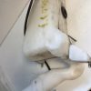 Vase de lave glace SEAT IBIZA 4 PHASE 1 Essence image 1