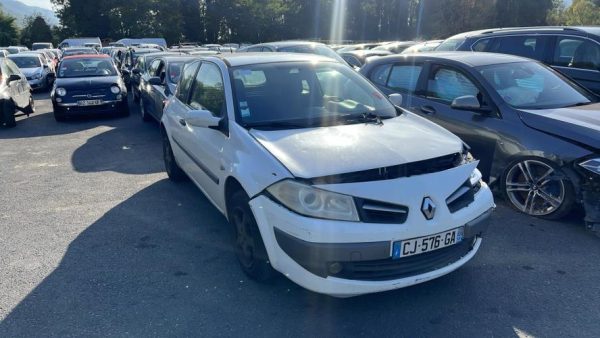 Porte avant droit RENAULT MEGANE 2 PHASE 2 Diesel image 8