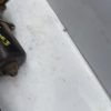 Moteur essuie glace avant RENAULT MEGANE 3 PHASE 1 Diesel image 2