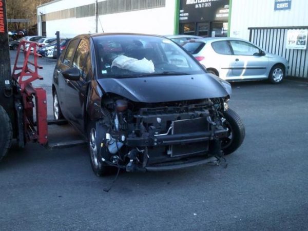 Custode avant droit (porte) CITROEN C3 2 PHASE 2 Essence image 2