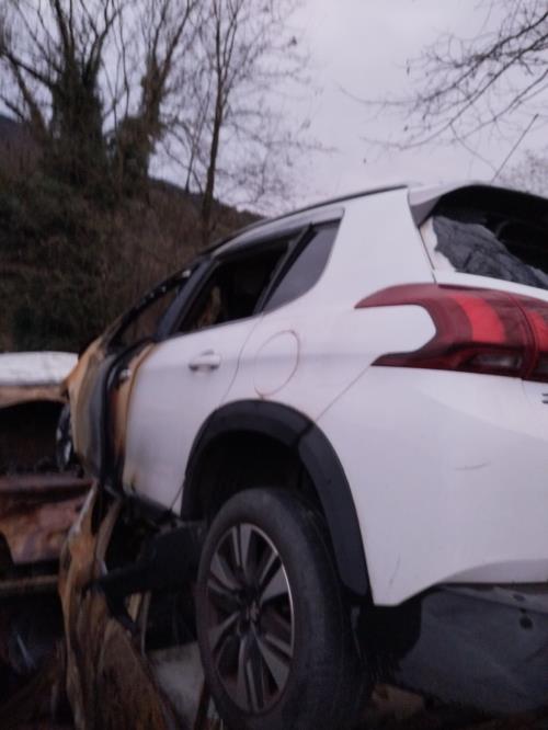 Pare choc arriere PEUGEOT 2008 1 PHASE 1 Essence image 5