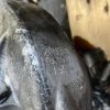 Boite de vitesses PEUGEOT 3008 1 PHASE 2 Diesel image 4